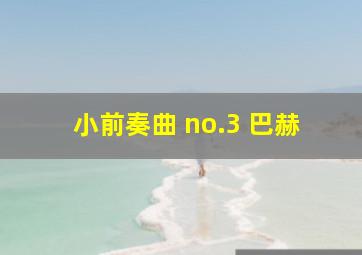 小前奏曲 no.3 巴赫